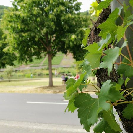 Ferienwohnung Moselblick ブルッティヒ・ファンケル エクステリア 写真