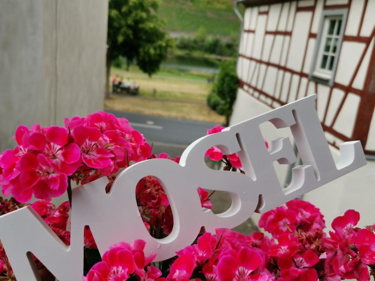 Ferienwohnung Moselblick ブルッティヒ・ファンケル エクステリア 写真